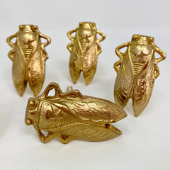 Bug Insect Knob in Gold Silver & Antique Brass