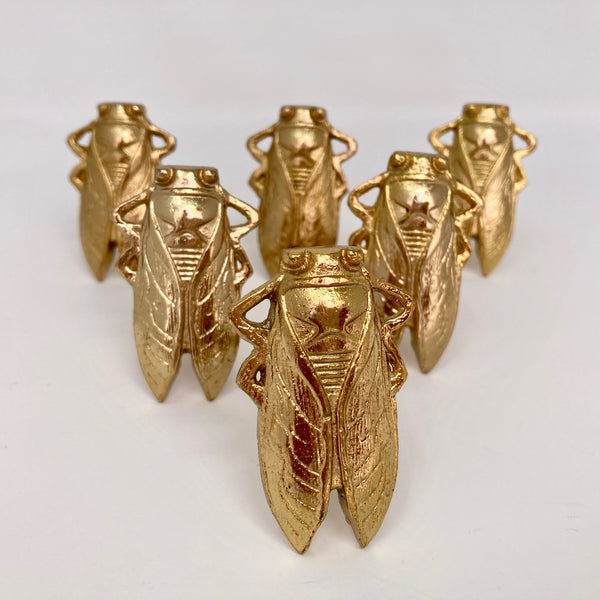Bug Insect Knob in Gold Silver & Antique Brass
