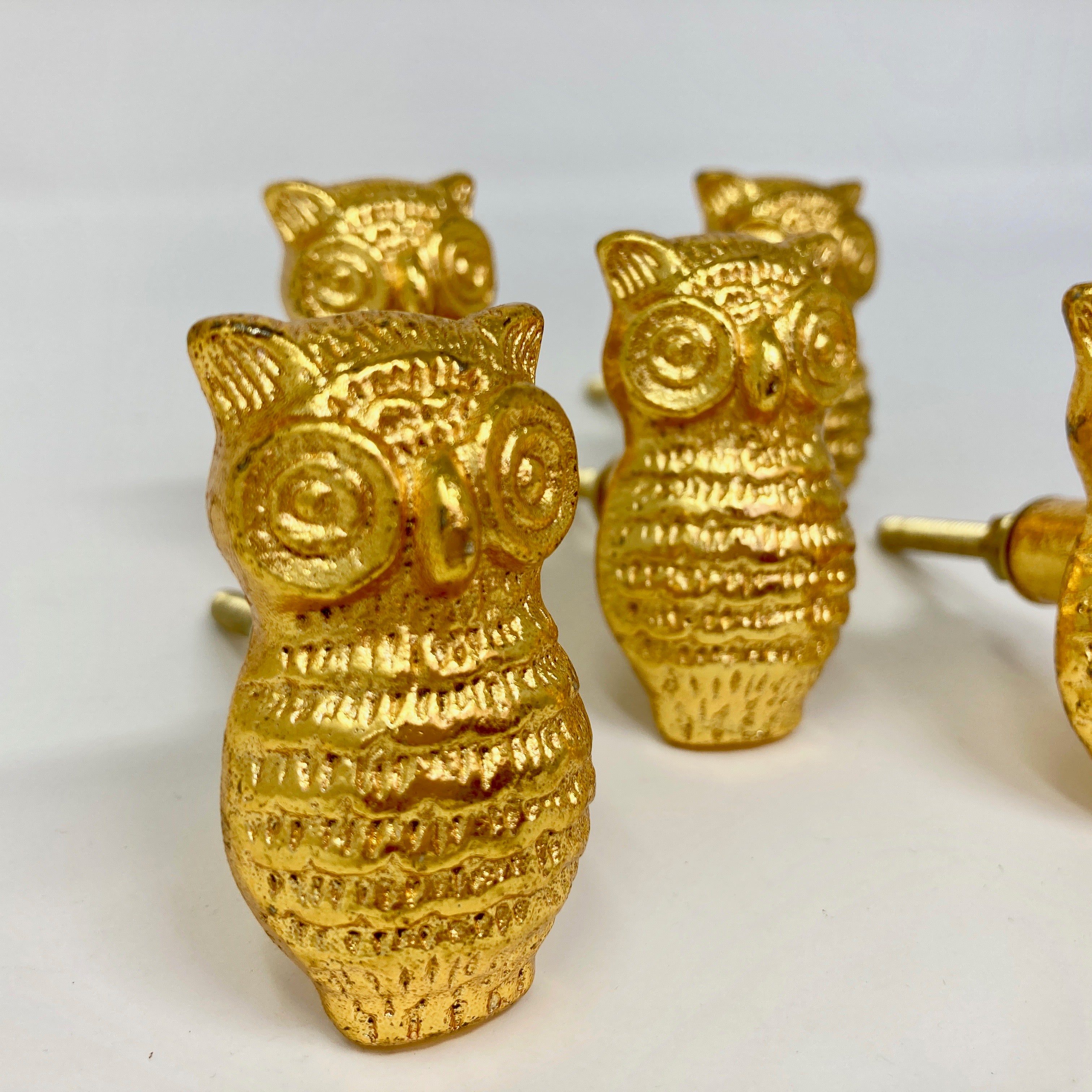 Gold Owl Door Knob