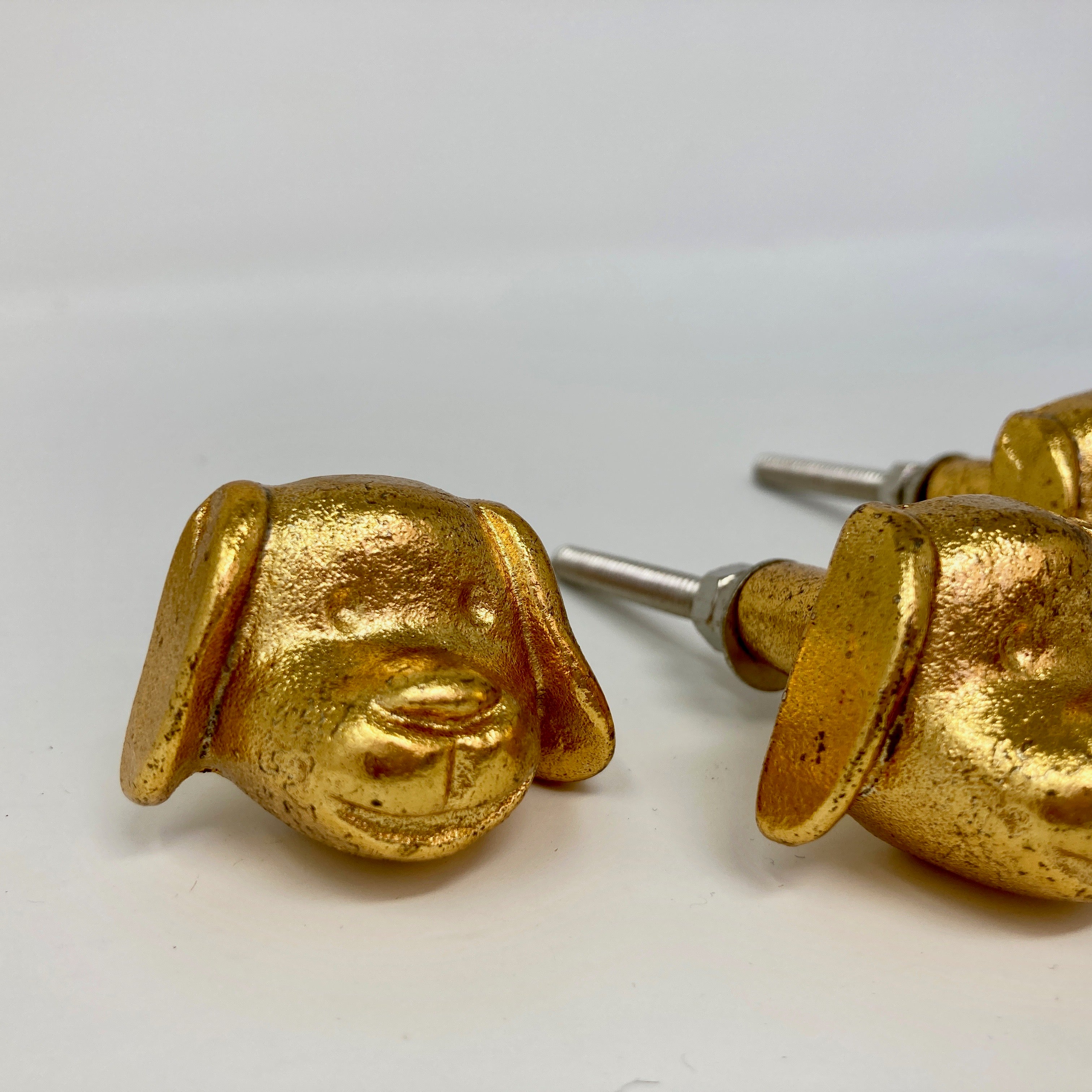 Gold Metal Dog's Head Shaped Knob