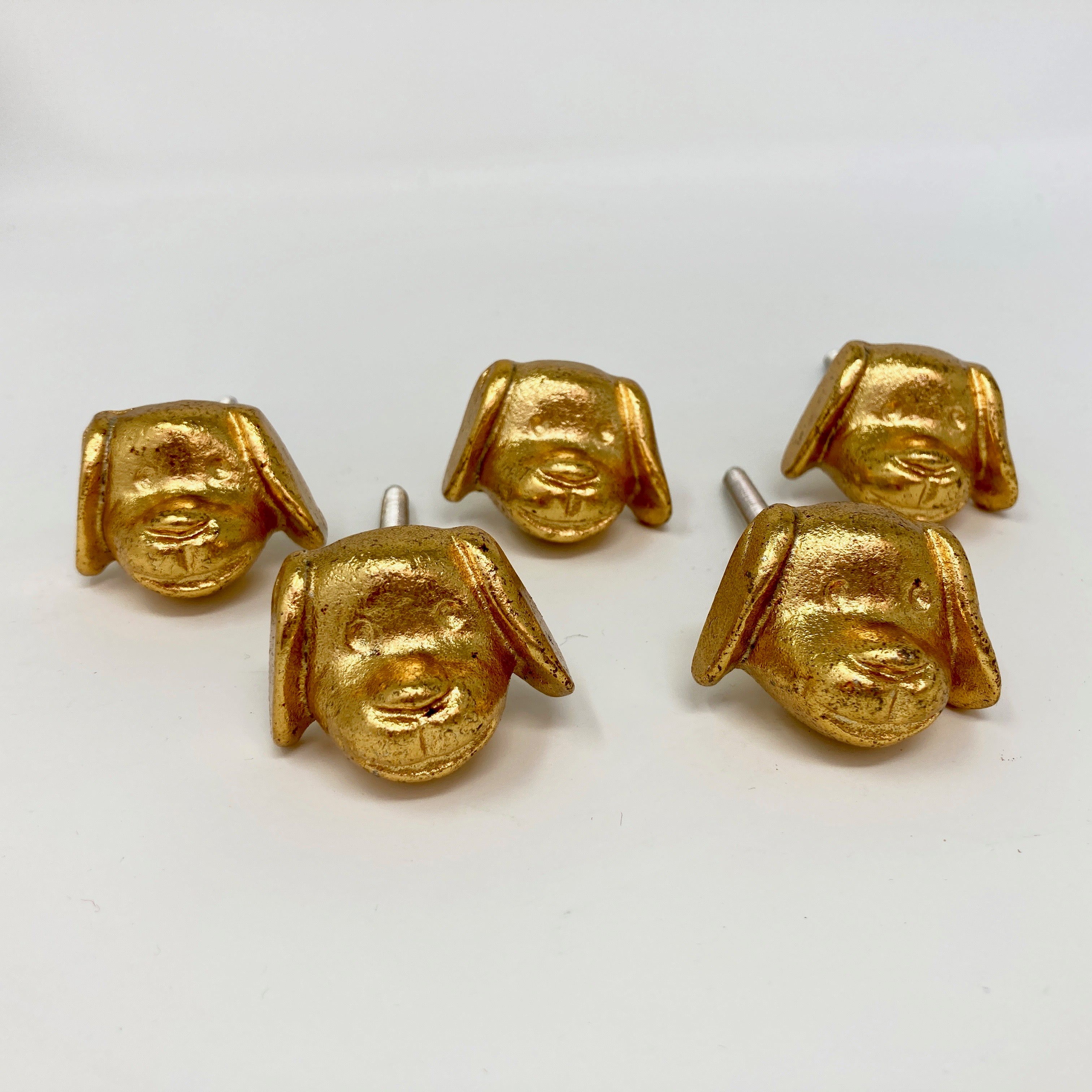 Gold Metal Dog's Head Shaped Knob