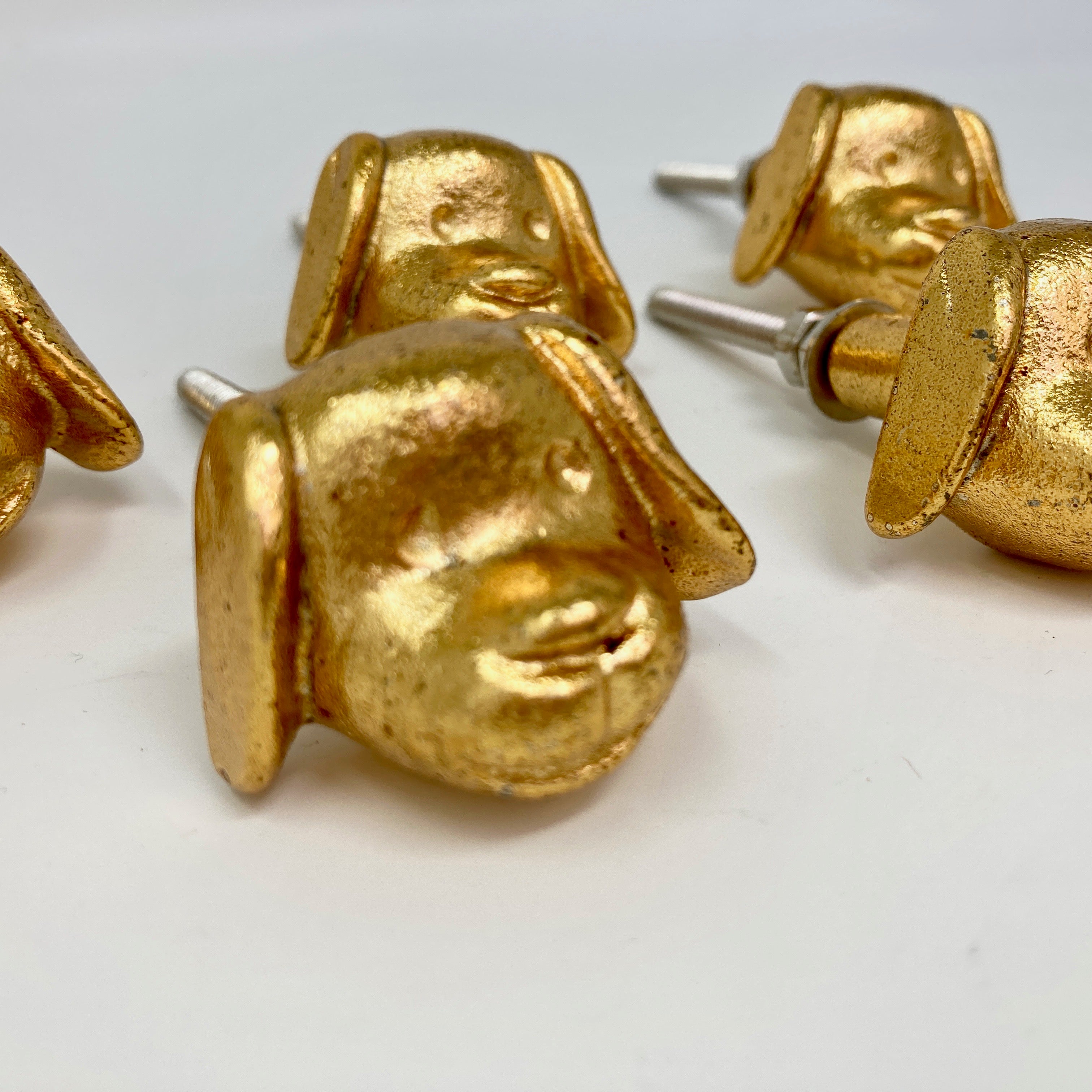 Gold Metal Dog's Head Shaped Knob