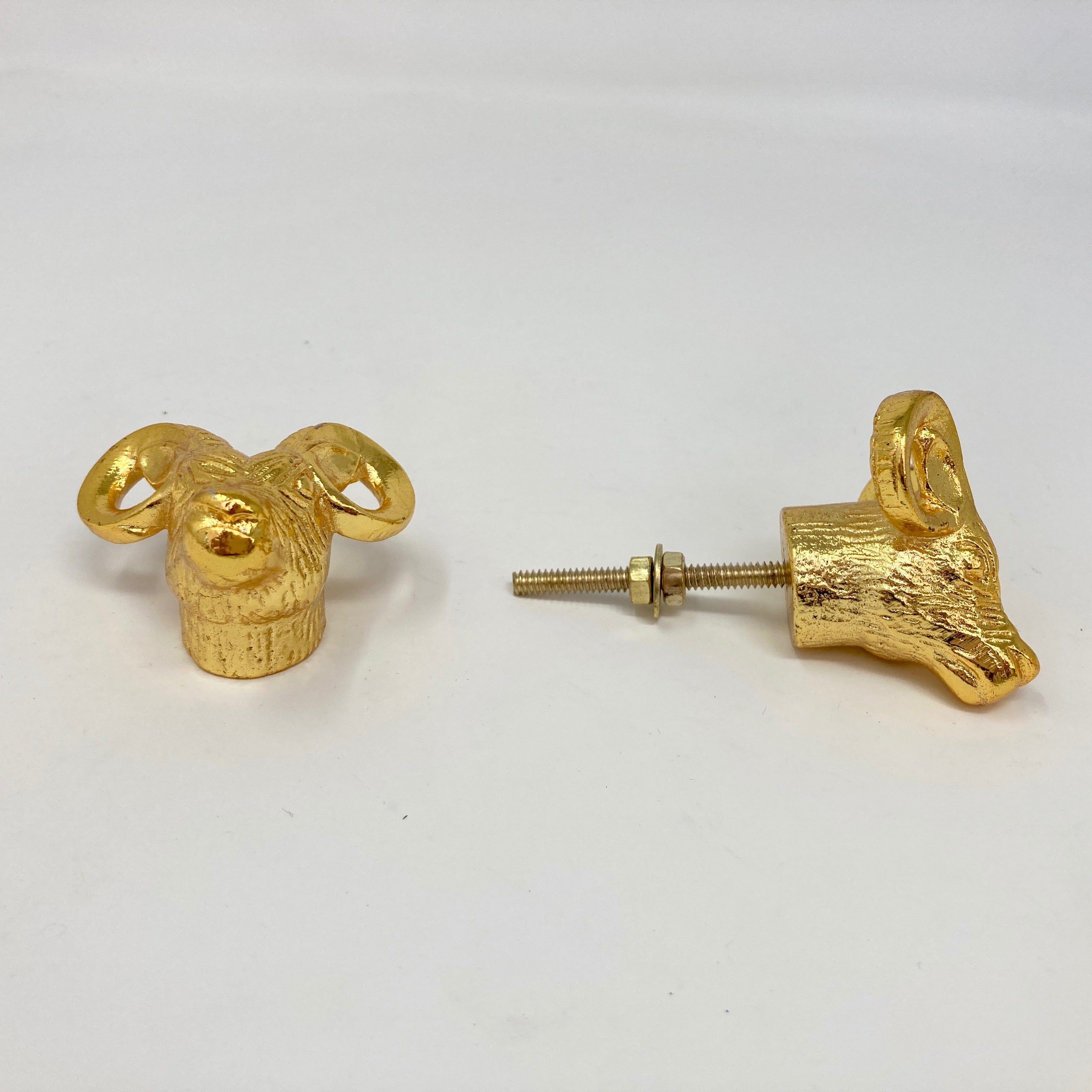 Gold Ram Knob