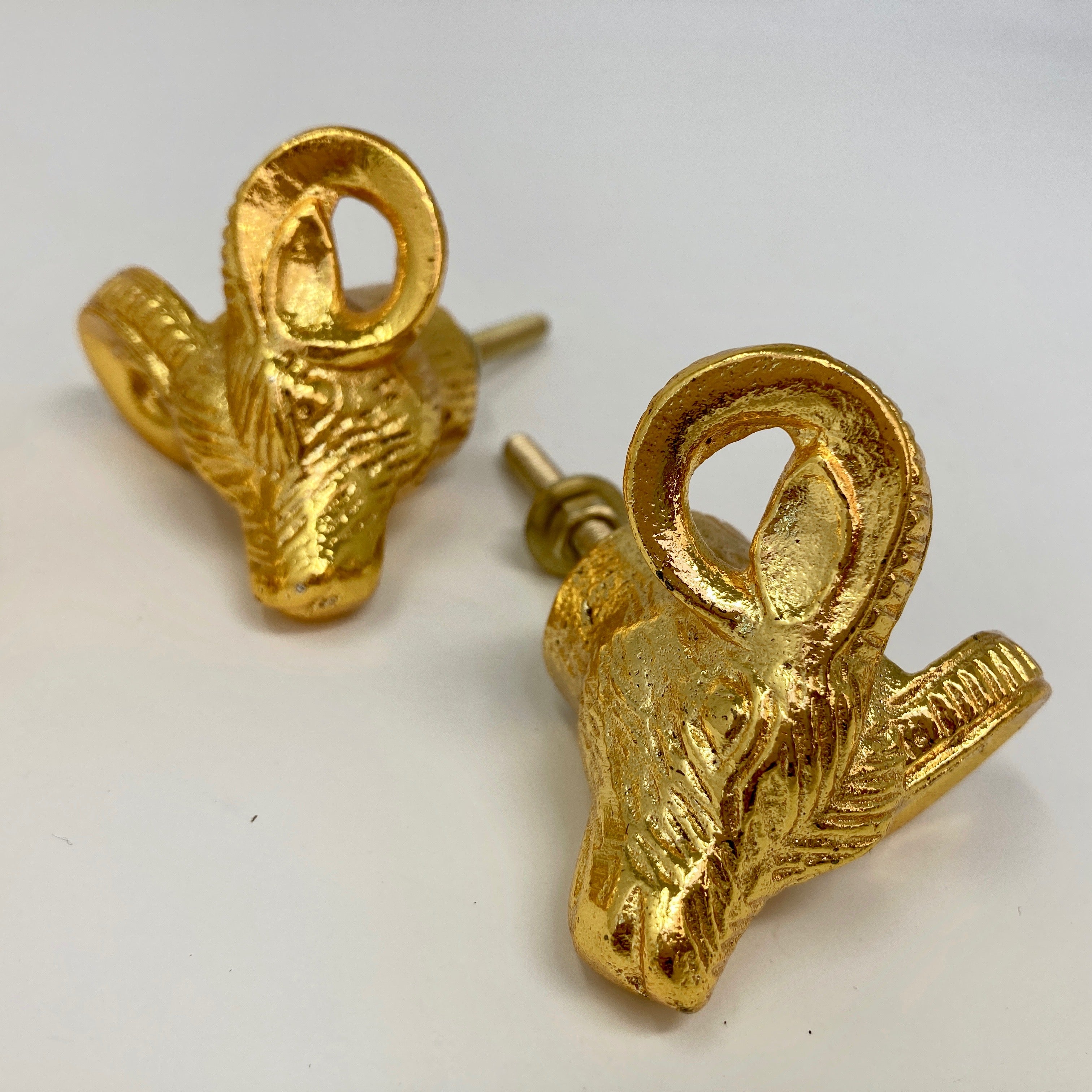 Gold Ram Knob