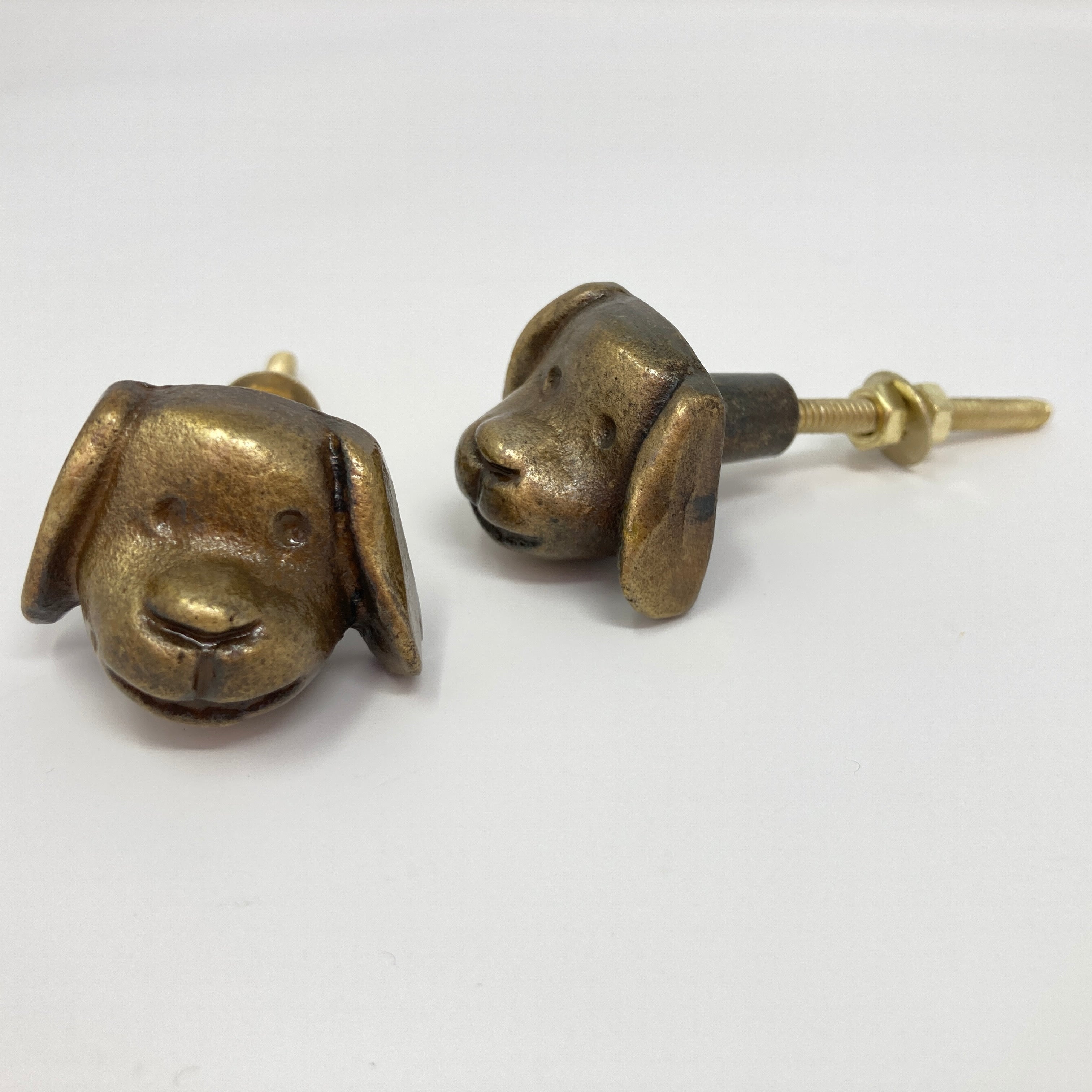 Dog's Head Knob in Antique Bronze Metal Knob